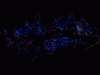 3.gif.gif