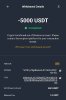 falqondev-478.jpg