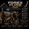 fsz_FOREX-FUGE-EA-MT5-Logo.jpg