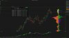 wewinforex-3078.jpg